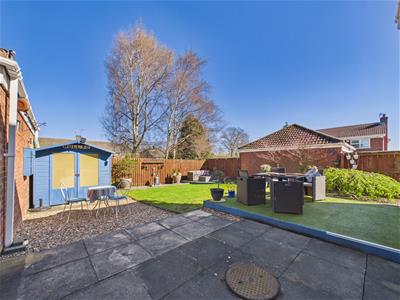 Picture 20